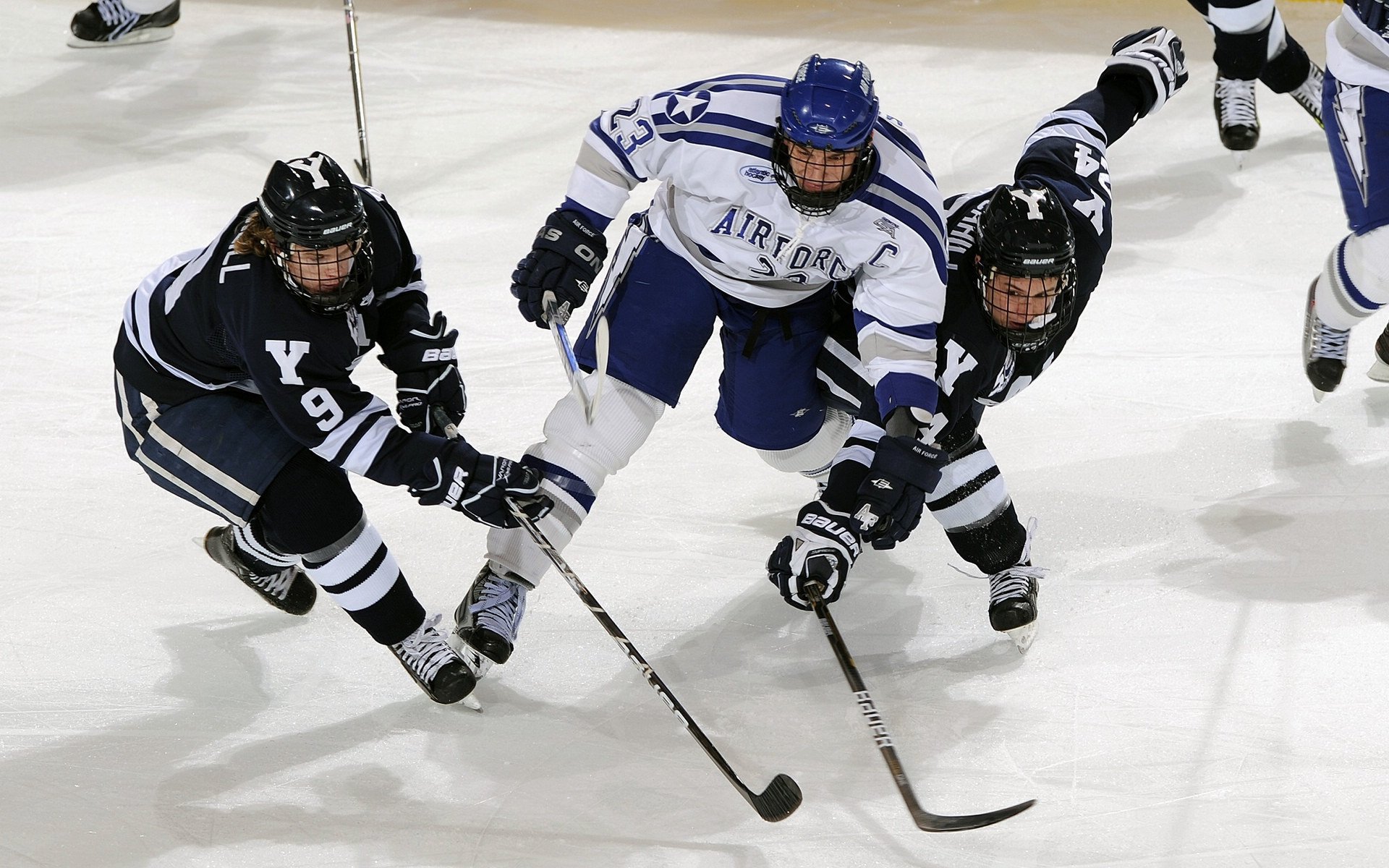 _终极对决：当代两大顶尖选手的巅峰较量_，终极对决简介