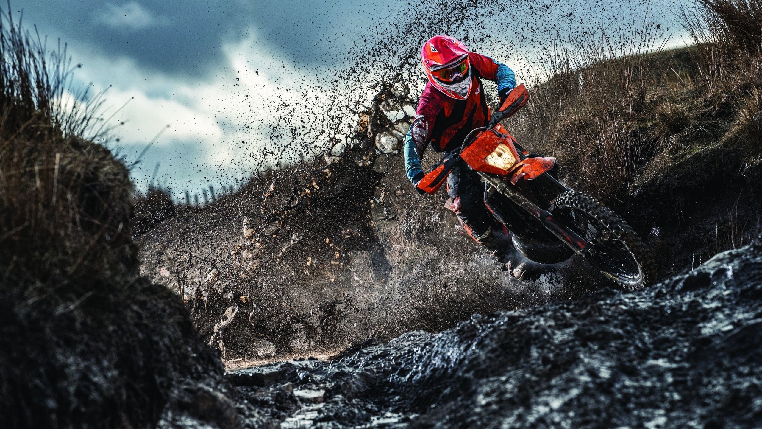 海洋生态潜水大赛，深海奇观尽收眼底，潜水海底世界海洋生物视频